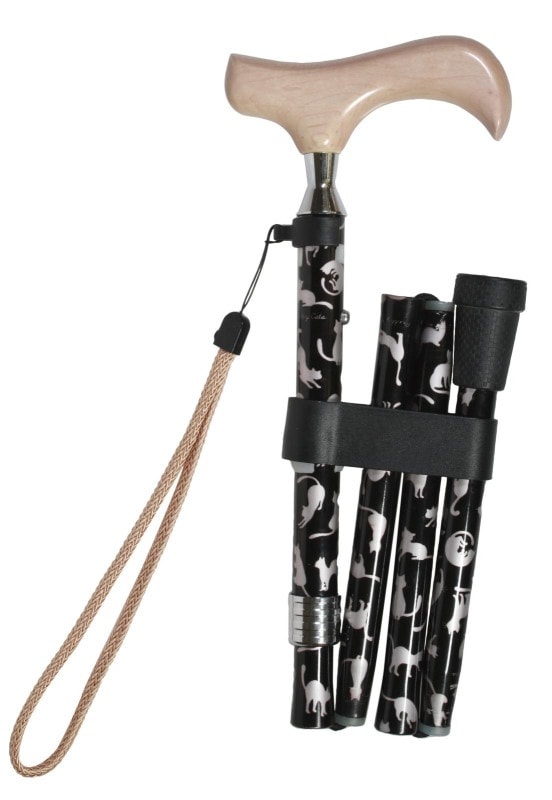 50531